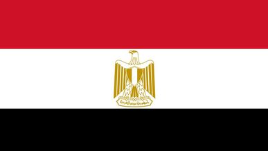 E-commerce volume in Egypt reaches EGP 30bln